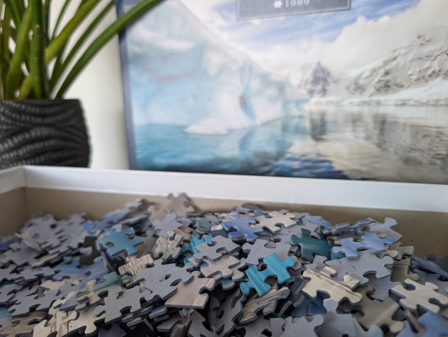 Around the World No2