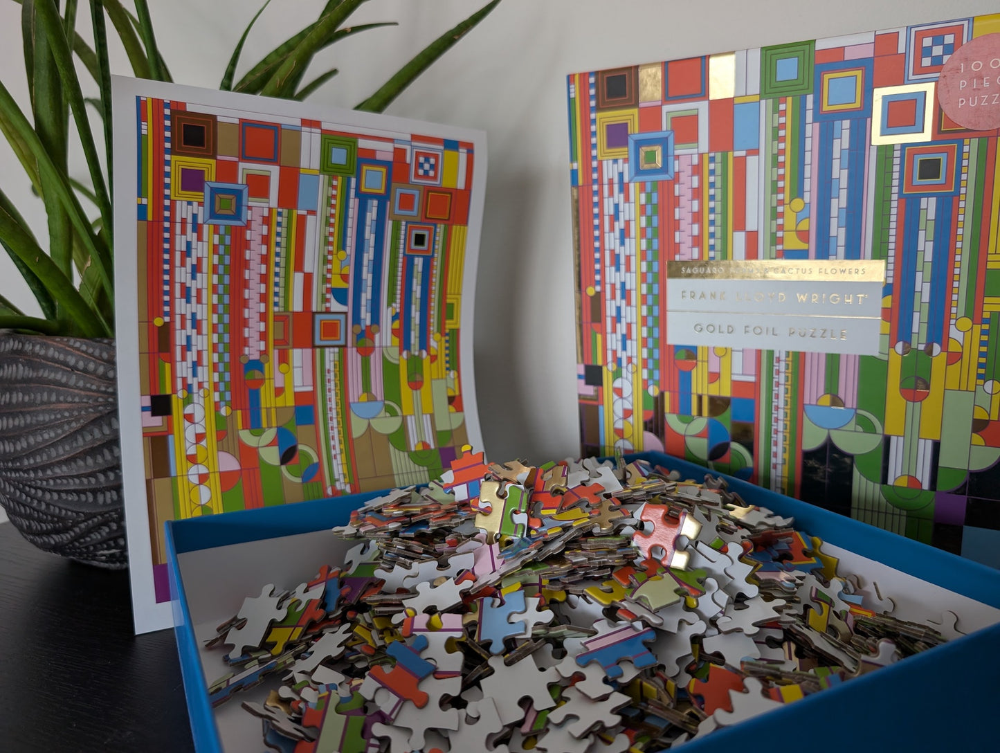 Saguaro Forms & Cactus Flowers (Gold Foil pusle!)