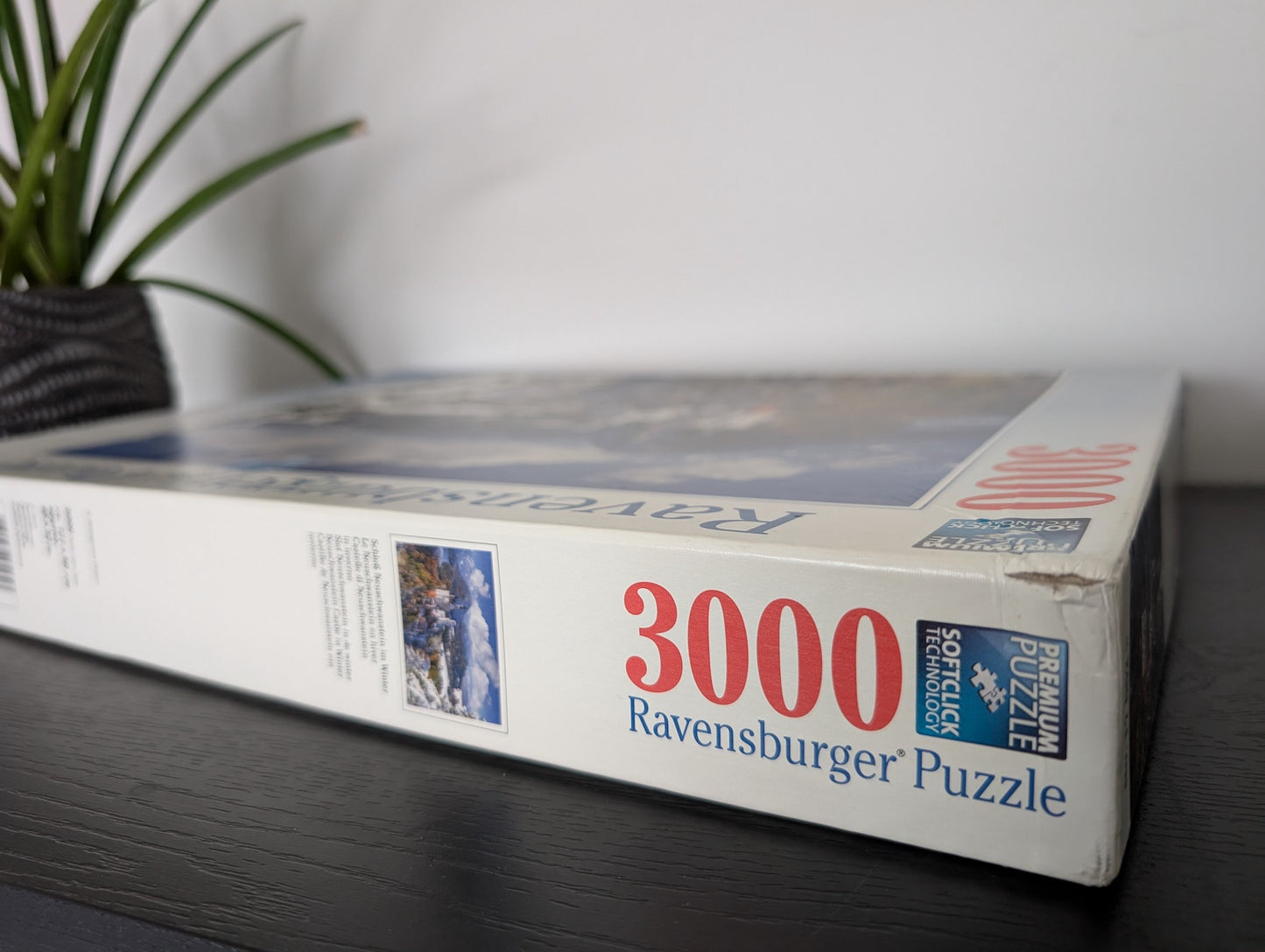 Neuschwanstein Castle in Winter