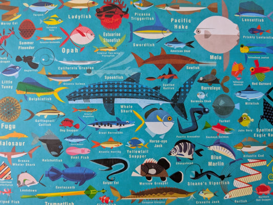 Ocean Life (UUS)