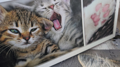 Just cat things - collage