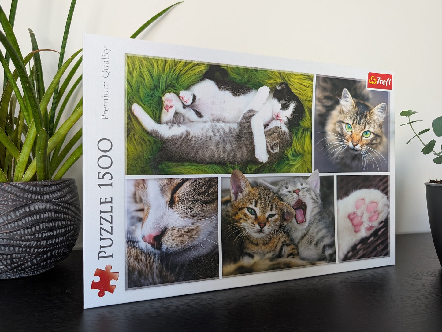 Just cat things - collage