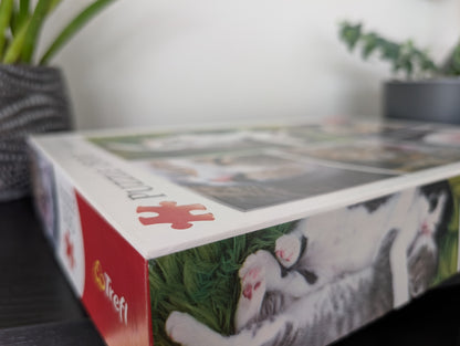 Just cat things - collage