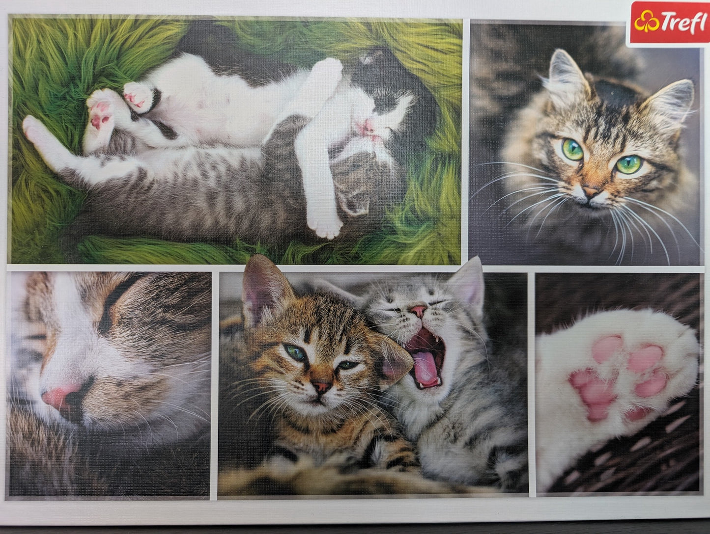 Just cat things - collage