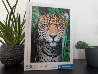 Jaguar in the Jungle