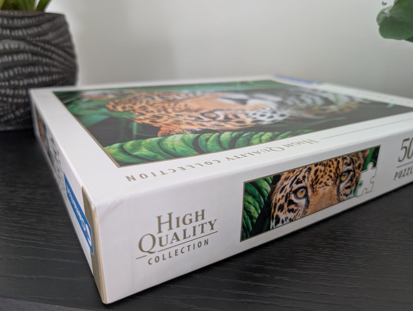 Jaguar in the Jungle