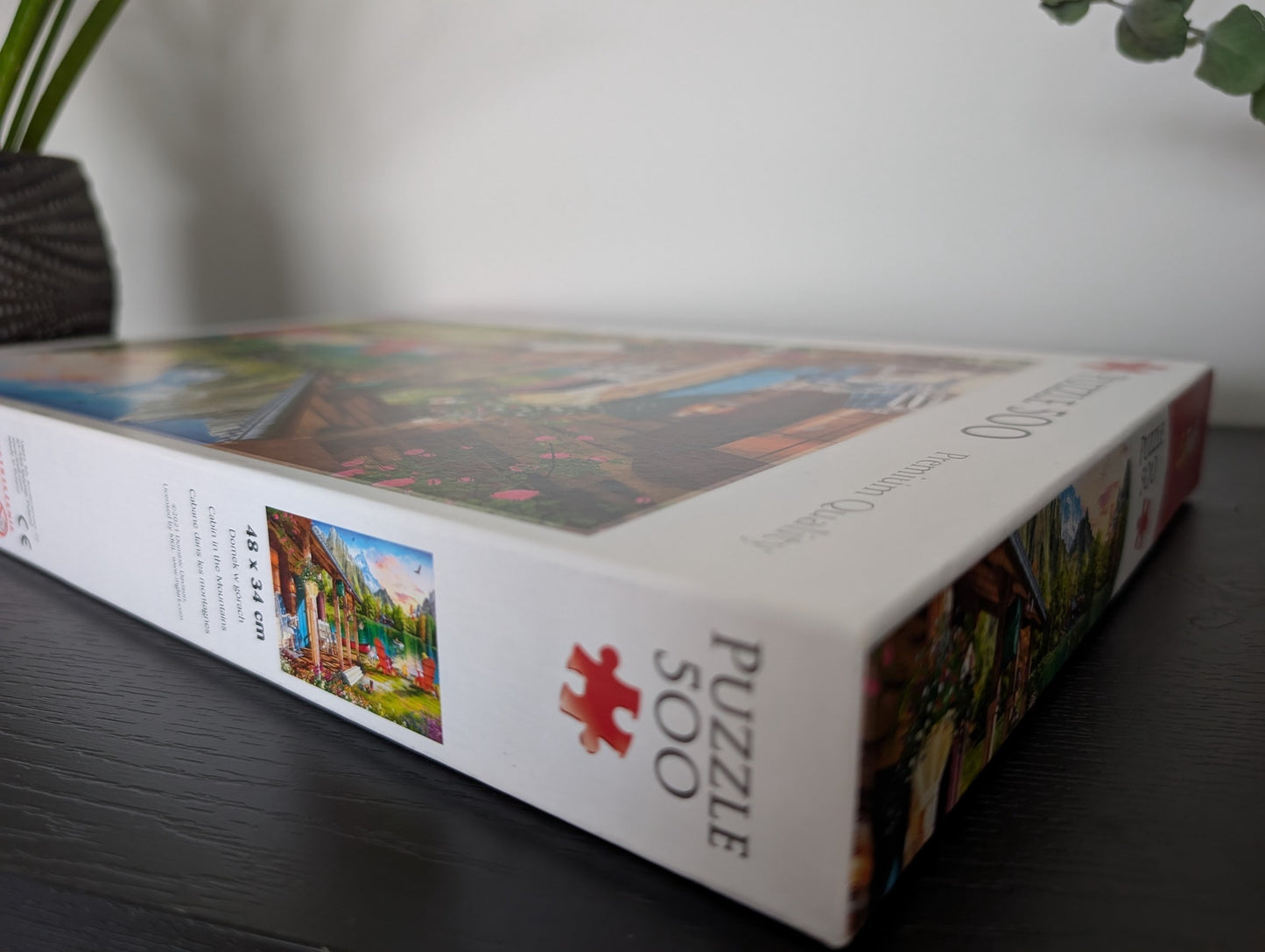 Cabin in the Mountains