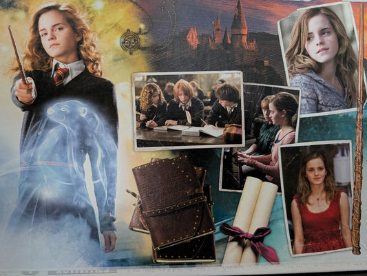 Harry Potter - Wizarding World