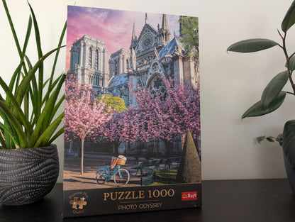 Notre-Dame Cathedral of Paris