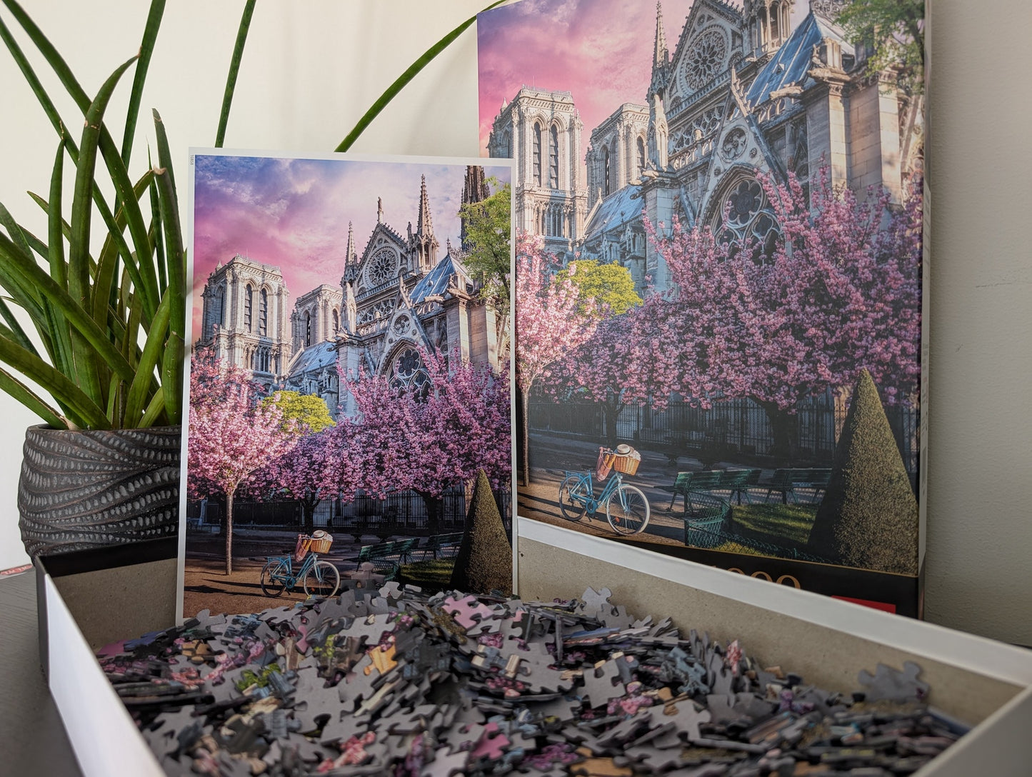 Notre-Dame Cathedral of Paris