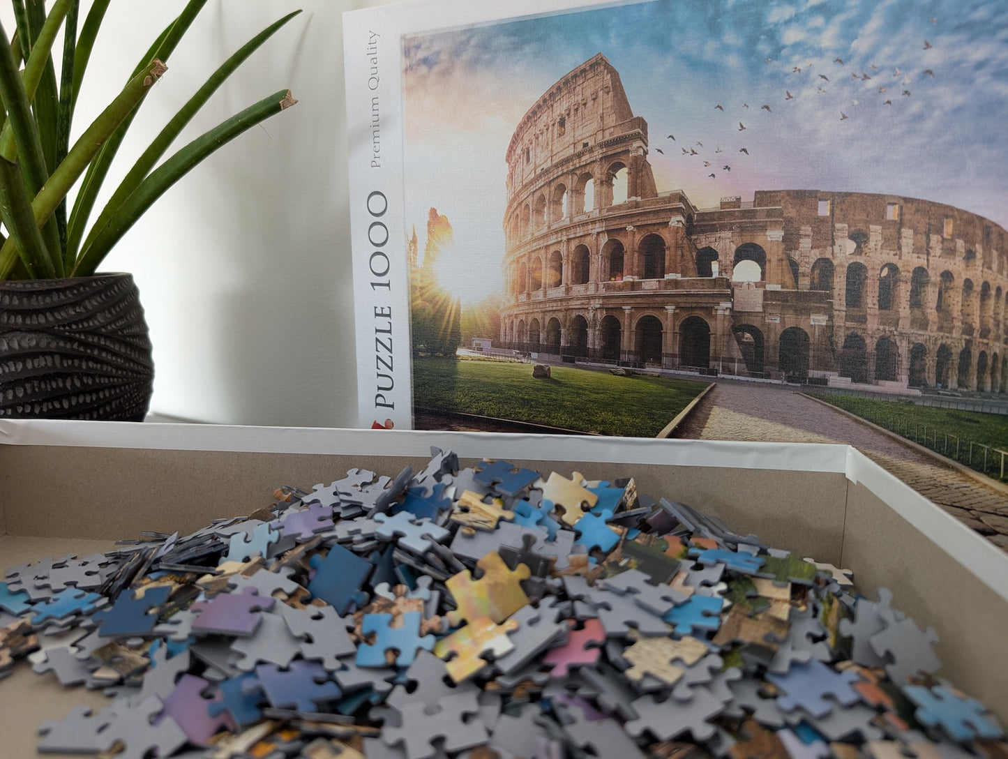 Sun-drenched Colosseum