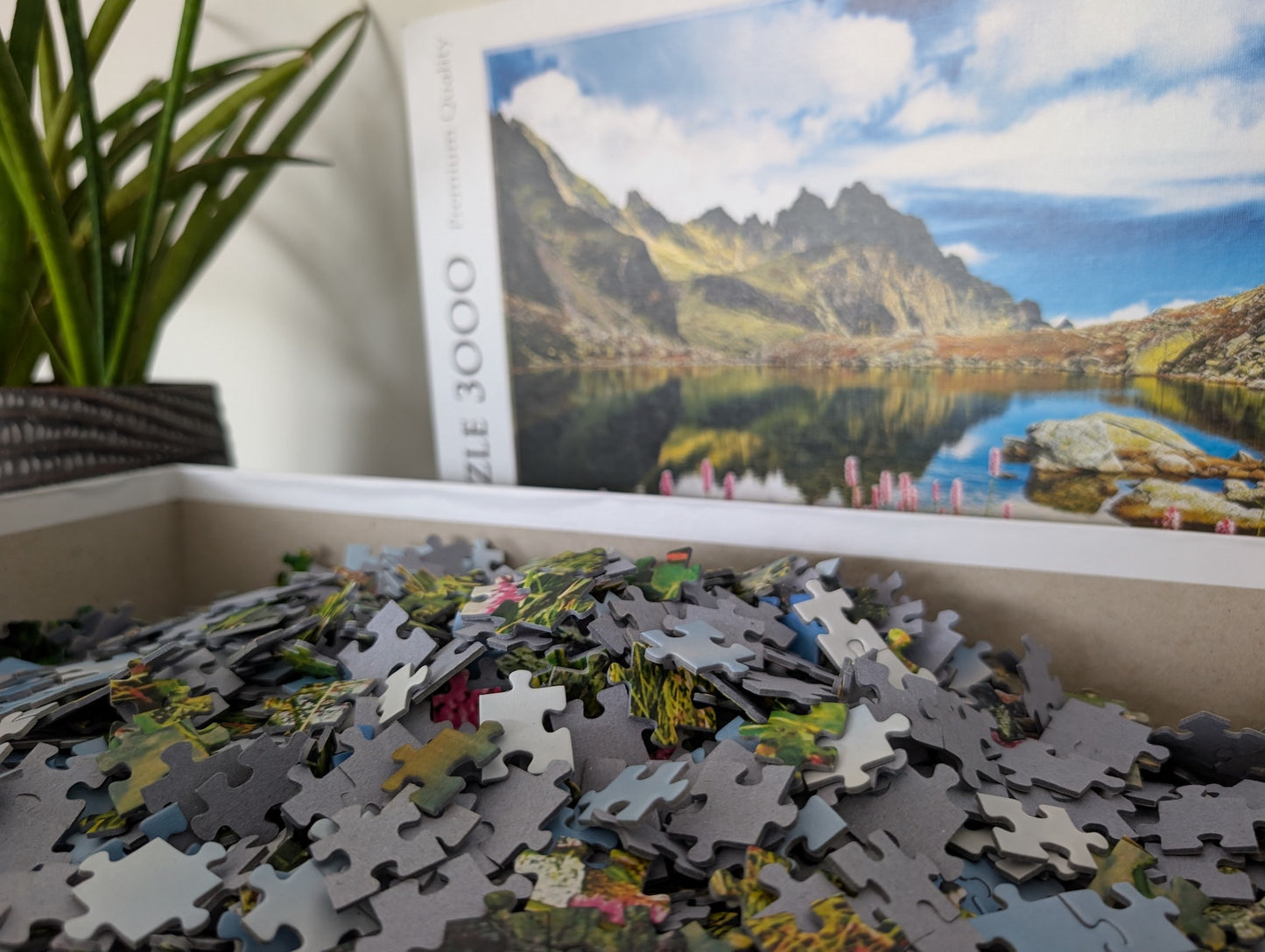 Starolesnianski Pond, Tatras, Slovakia