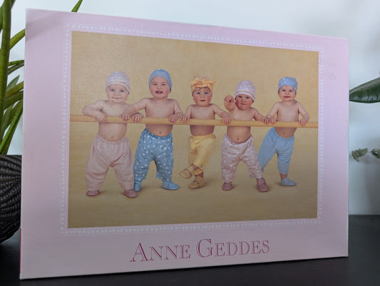 Wading Pants Composite