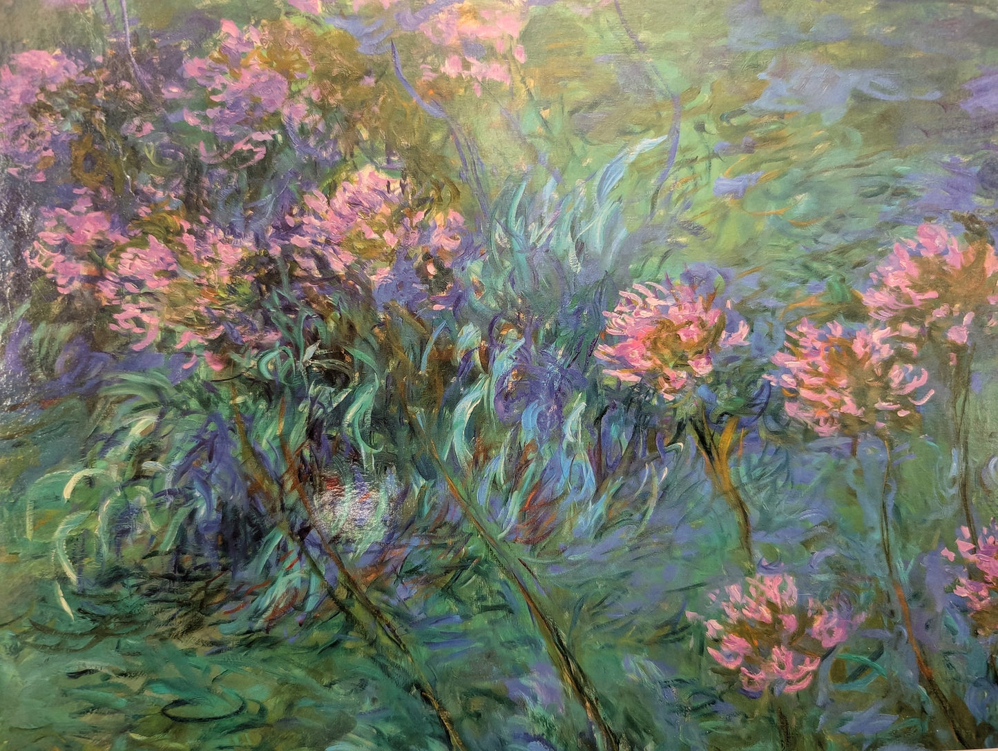 Monet Agapanthus