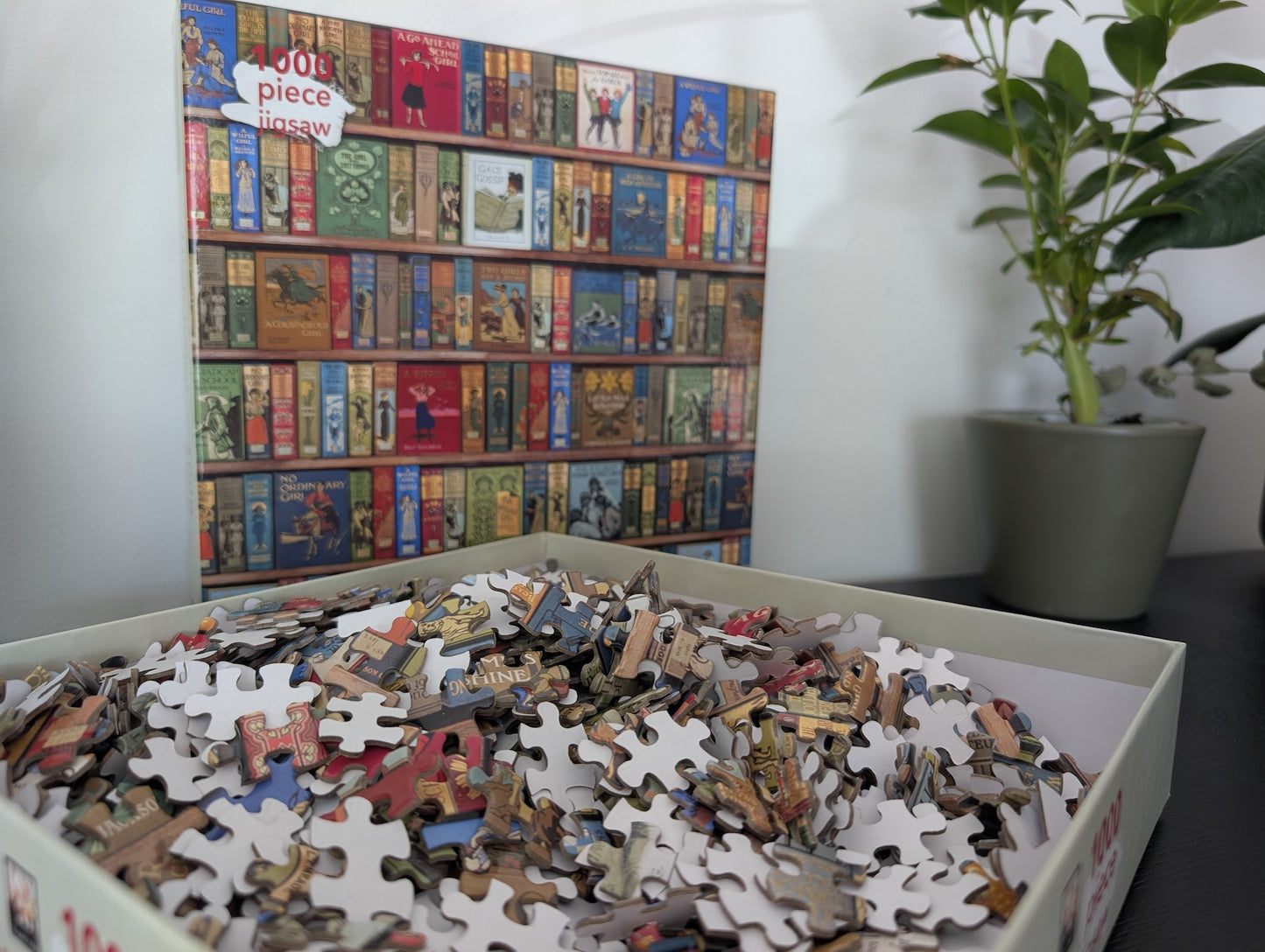 High Jinks! Bookshelves