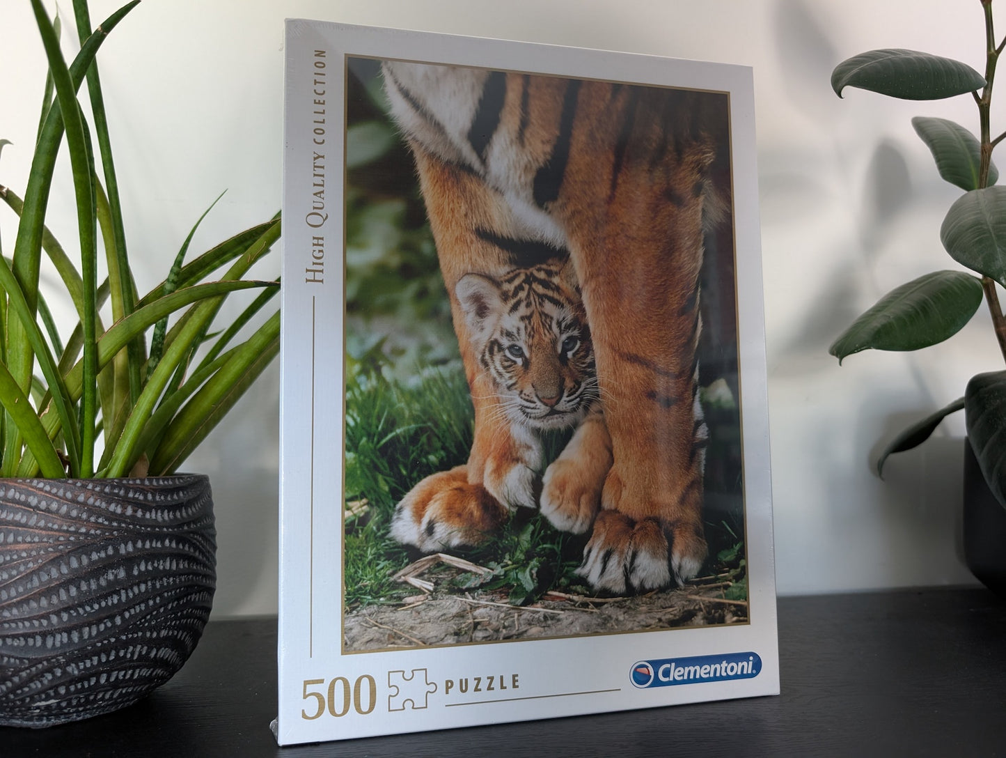 Bengal Tiger Cub (UUS)