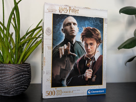 Wizarding World, Harry Potter