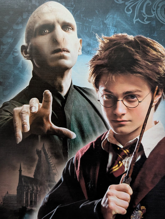 Wizarding World, Harry Potter