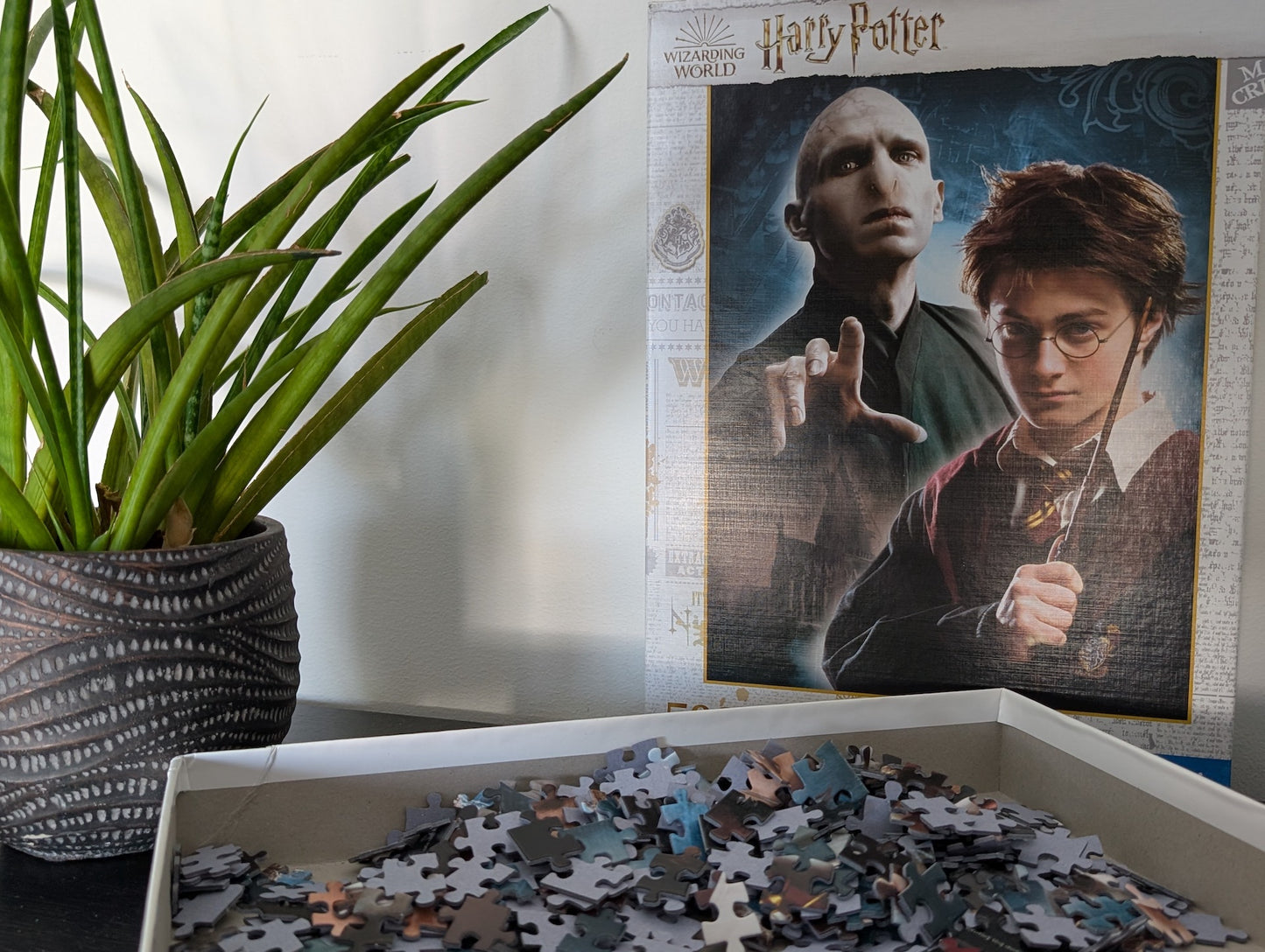 Wizarding World, Harry Potter