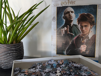 Wizarding World, Harry Potter