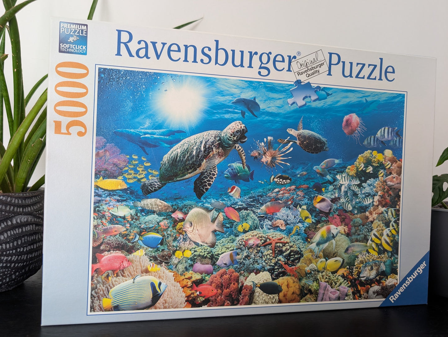 Underwater Tranquility