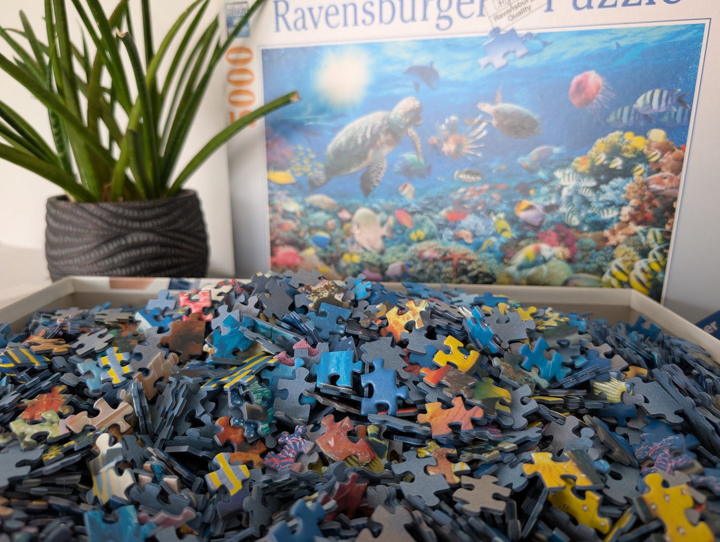 Underwater Tranquility