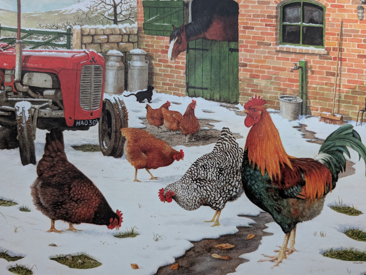 Winter Hens