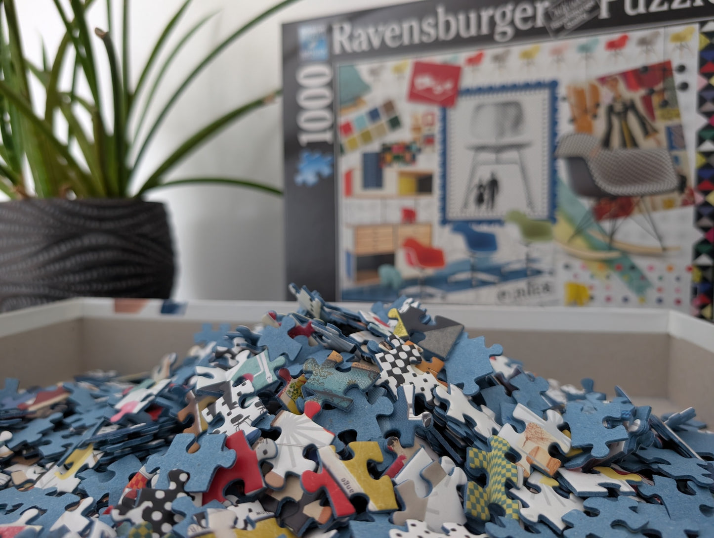 Eames Design Spectrum