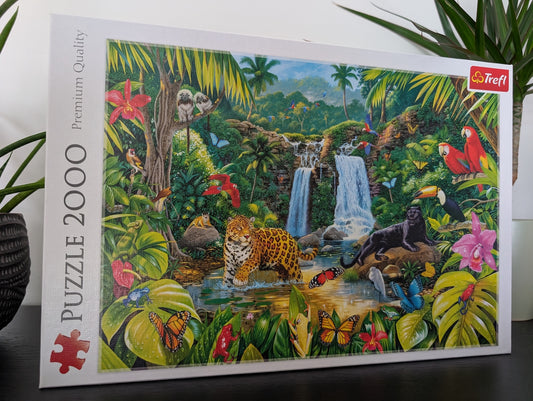 Tropical forest