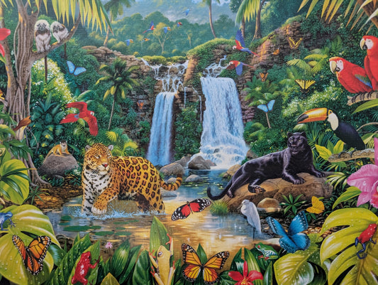 Tropical forest