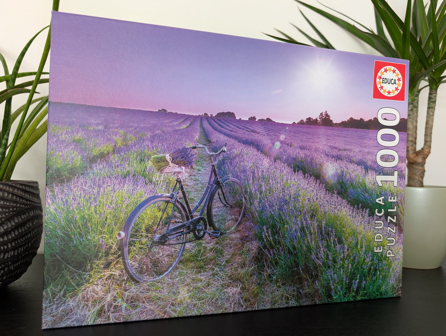 Bike in a lavender field