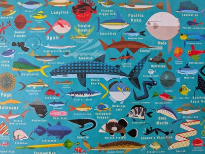 Ocean Life (UUS)