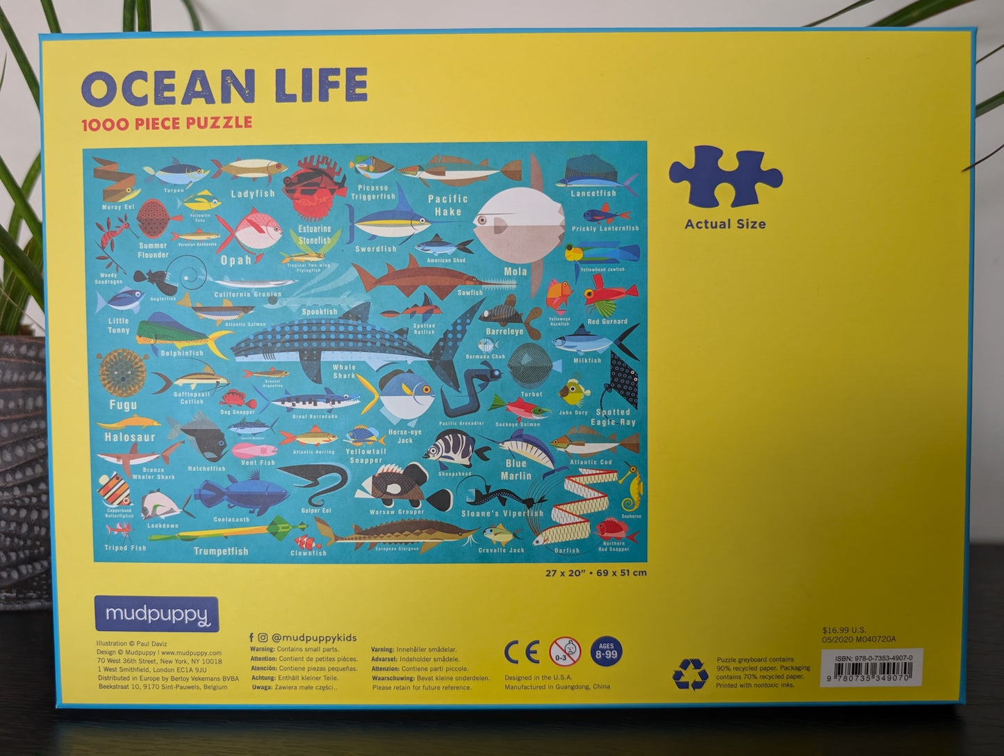 Ocean Life (UUS)