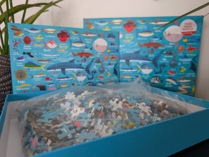 Ocean Life (UUS)