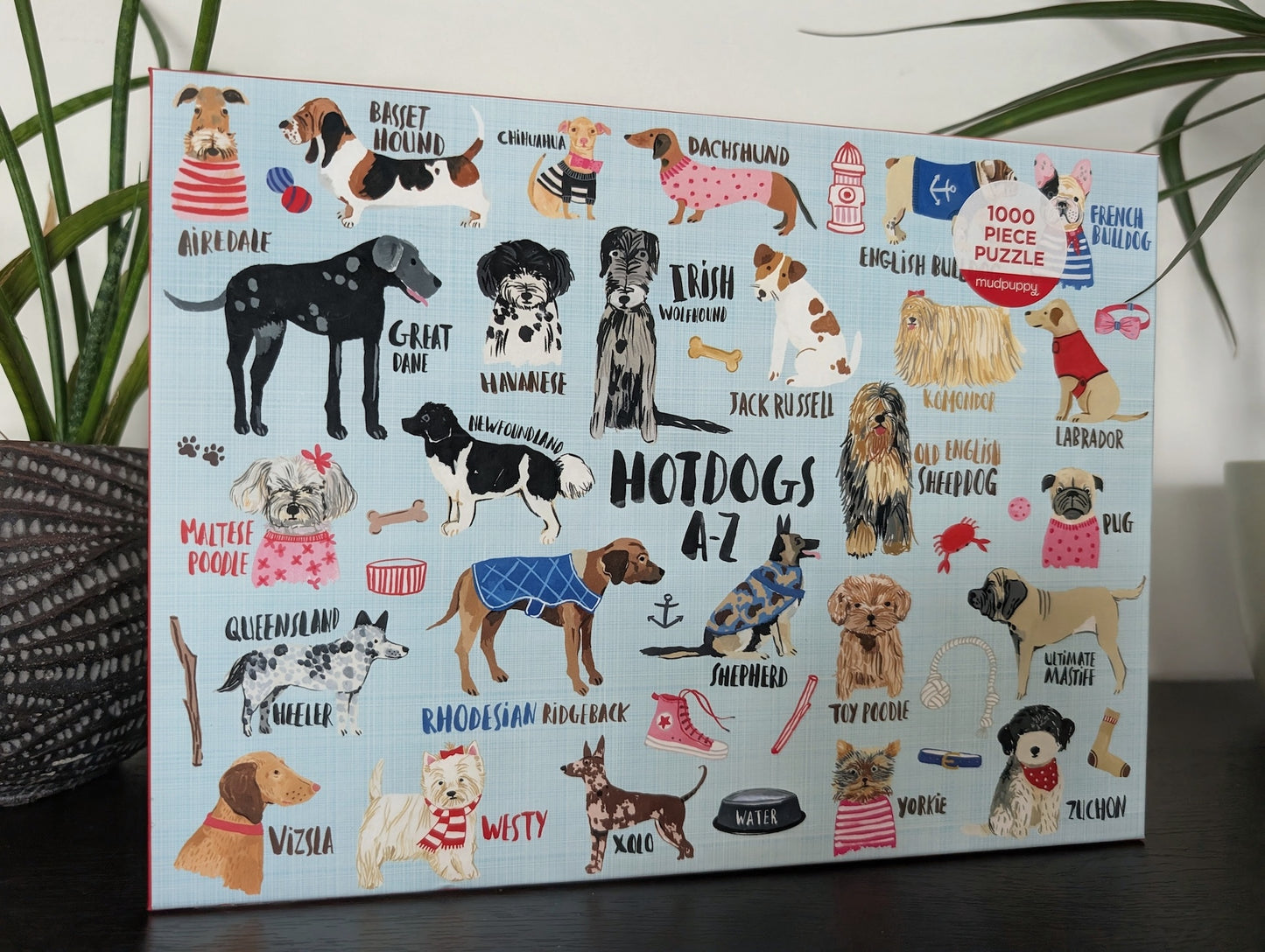 Hotdogs A-Z (UUS)
