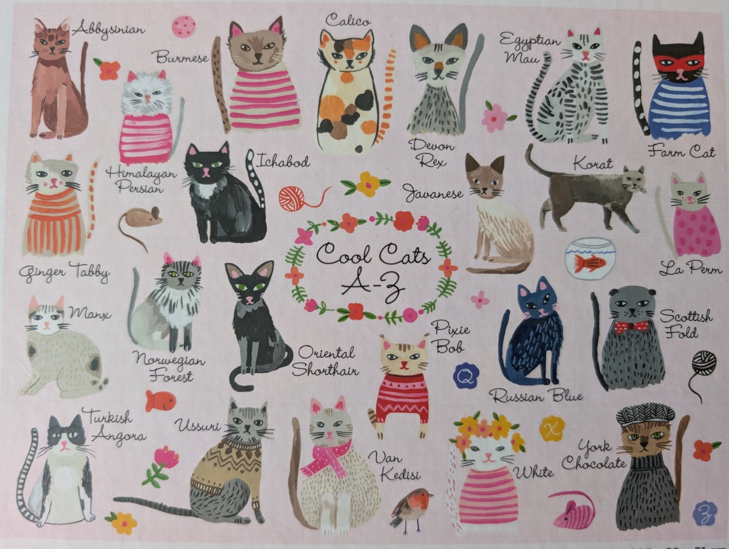 Cool Cats A-Z (UUS)