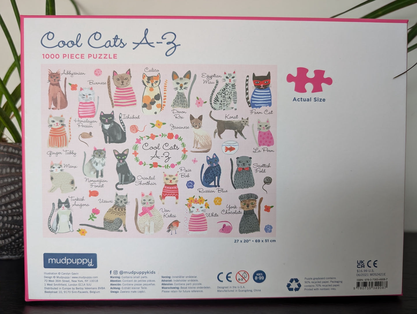 Cool Cats A-Z (UUS)
