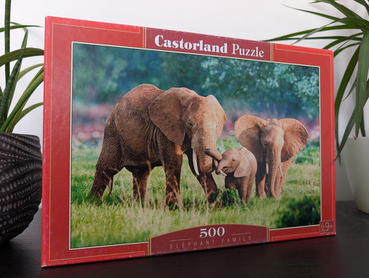 Elephant Family
