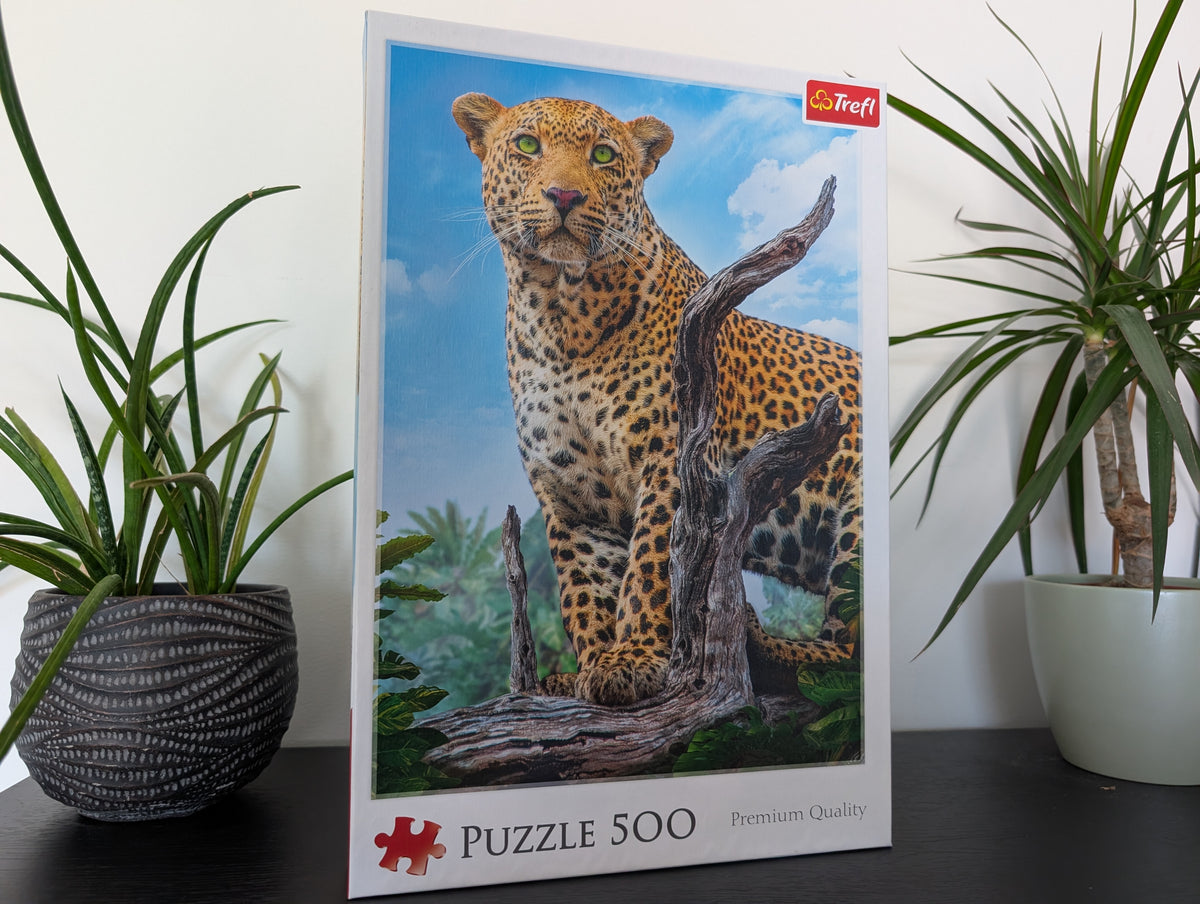 Wild leopard