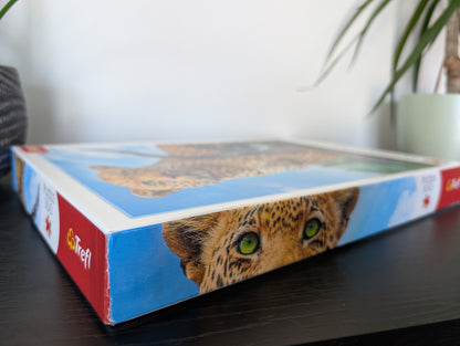 Wild leopard