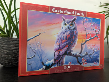Owl's Perfect Evening