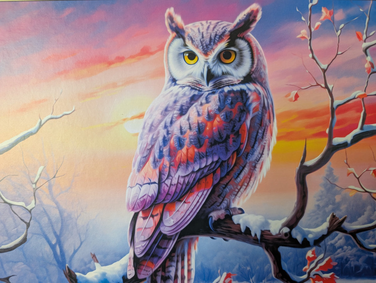 Owl's Perfect Evening